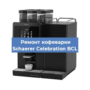 Ремонт кофемолки на кофемашине Schaerer Celebration BCL в Екатеринбурге